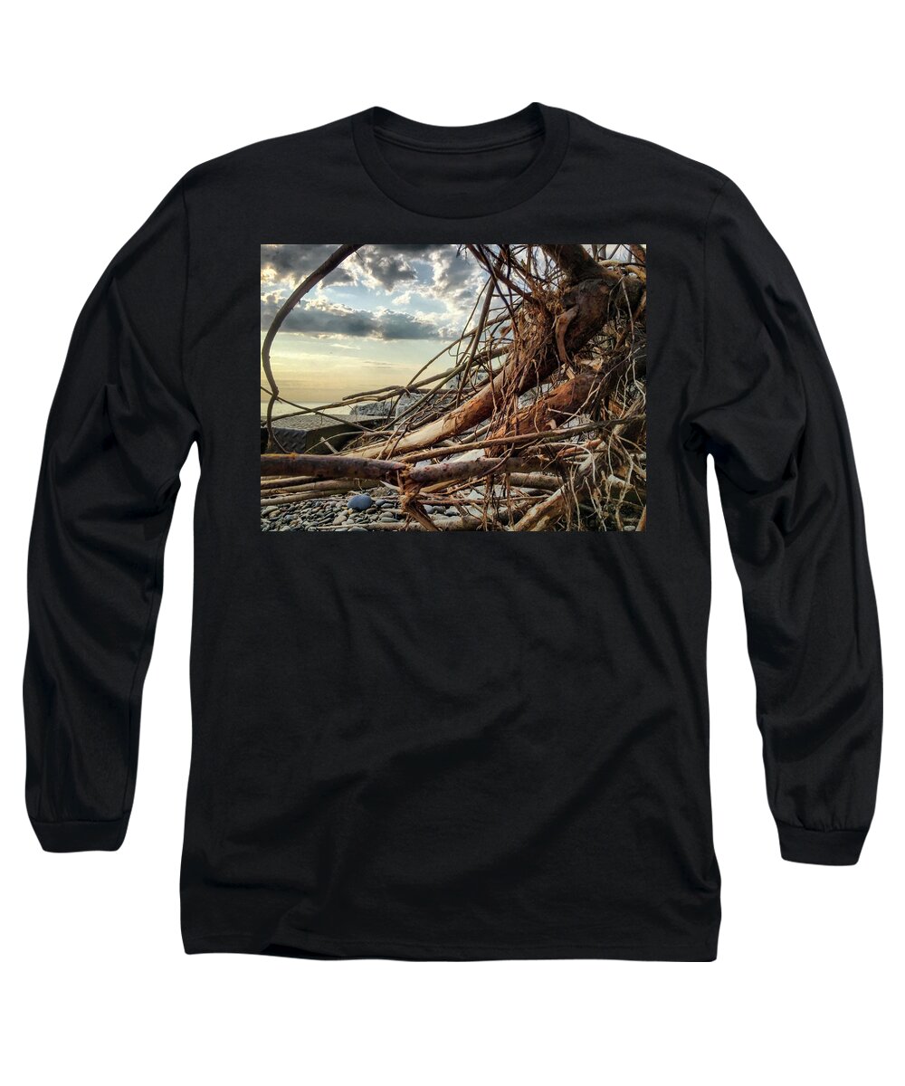Lake Long Sleeve T-Shirt featuring the photograph Roots by Terri Hart-Ellis