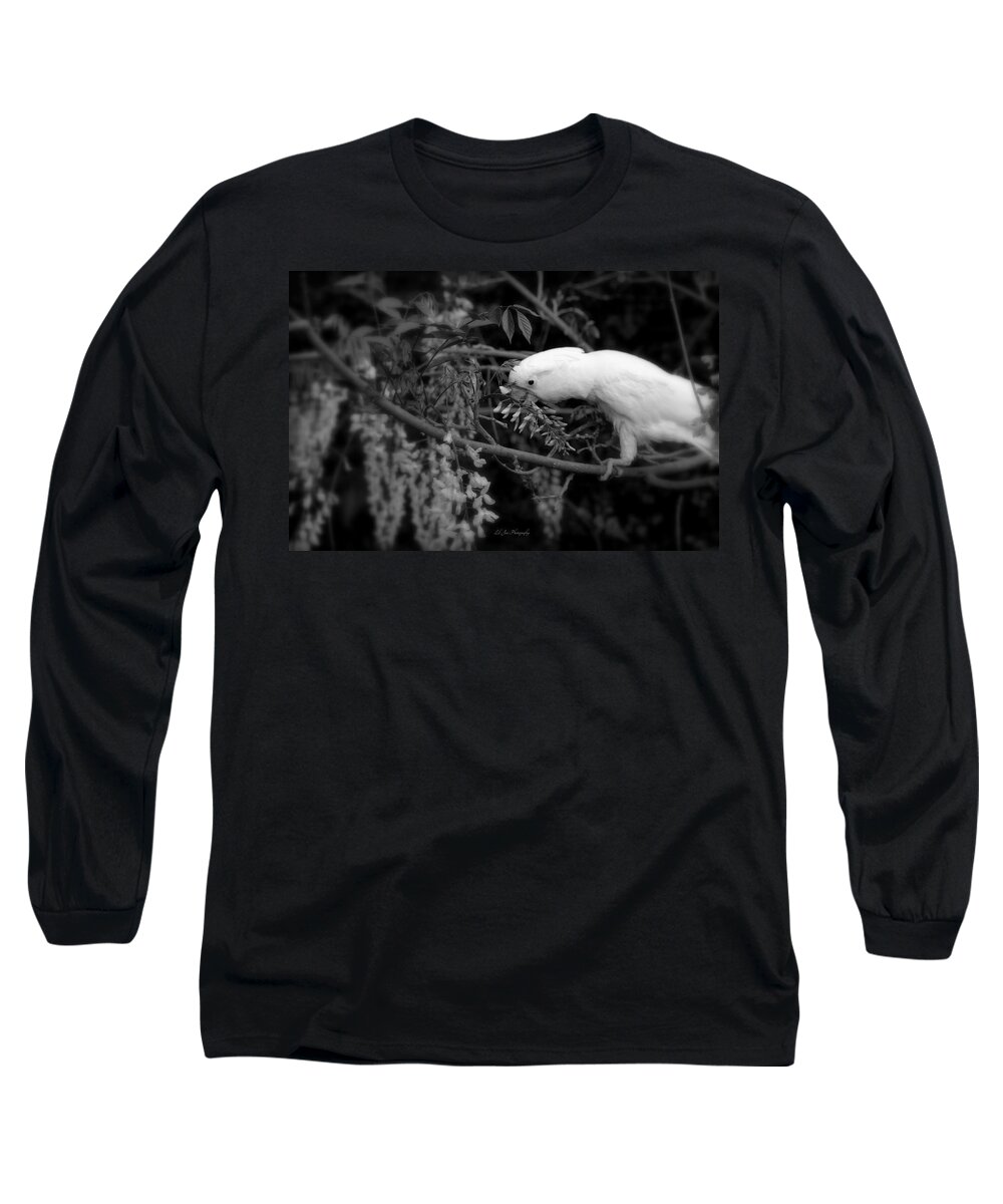 Rudy Long Sleeve T-Shirt featuring the photograph Rudy by Jeanette C Landstrom