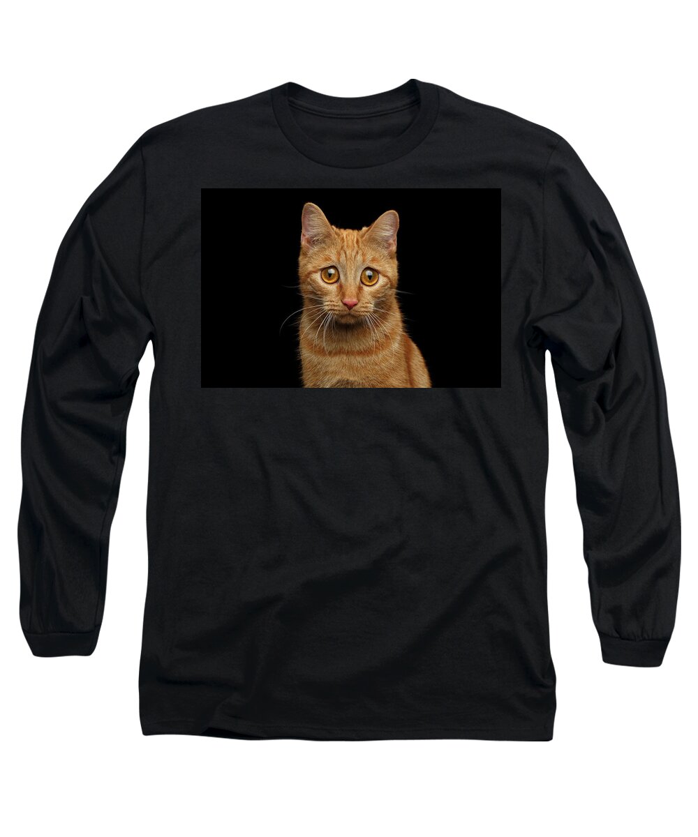 Cat Long Sleeve T-Shirt featuring the photograph Sad Ginger Cat by Sergey Taran