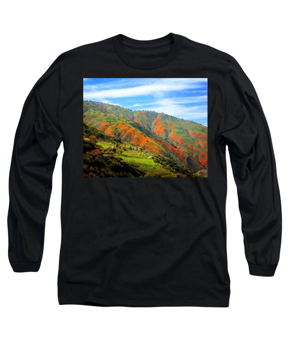 Mountains Long Sleeve T-Shirt featuring the photograph San Emigdio Mountains in Spring by Timothy Bulone