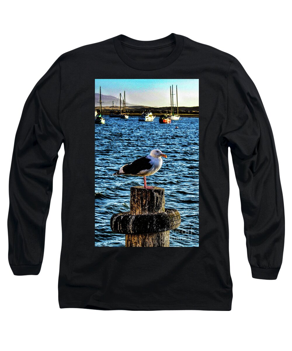 Bird Long Sleeve T-Shirt featuring the photograph Seagull Perch by Adam Morsa