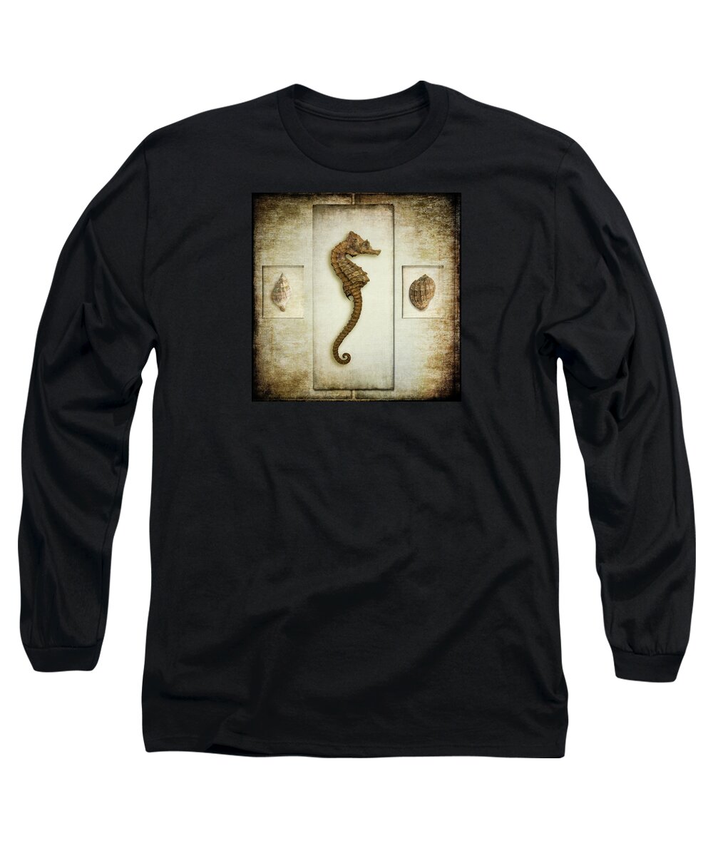 Fine Art Photography Long Sleeve T-Shirt featuring the photograph Seahorse by John Strong