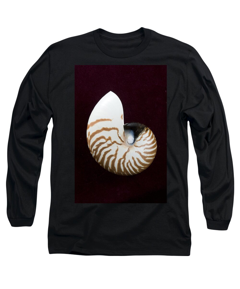 Beach Art Long Sleeve T-Shirt featuring the photograph Seashell on Black Background by Bill Brennan - Printscapes