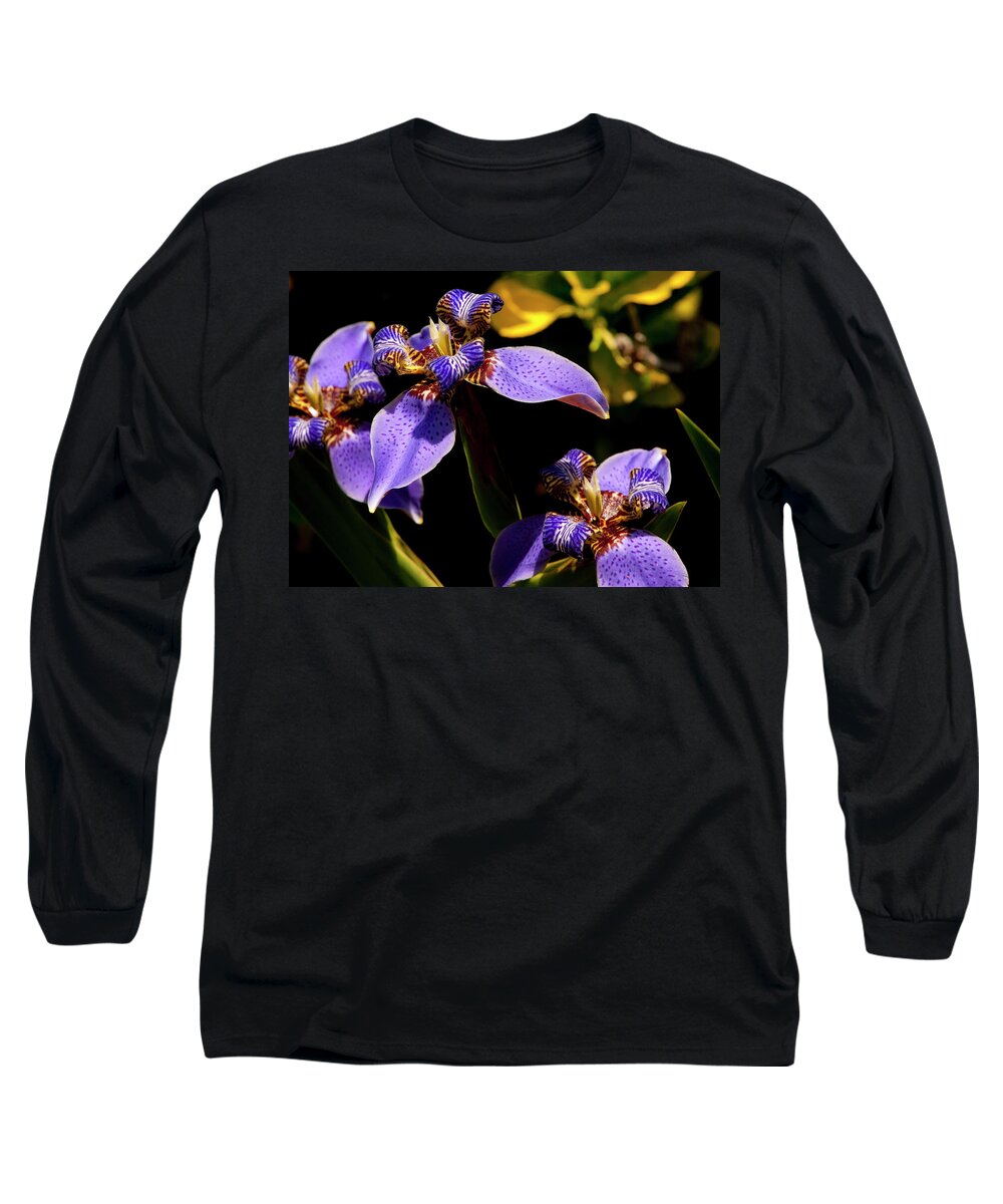 Flower Long Sleeve T-Shirt featuring the photograph Simple Beauty III by Stephen Anderson