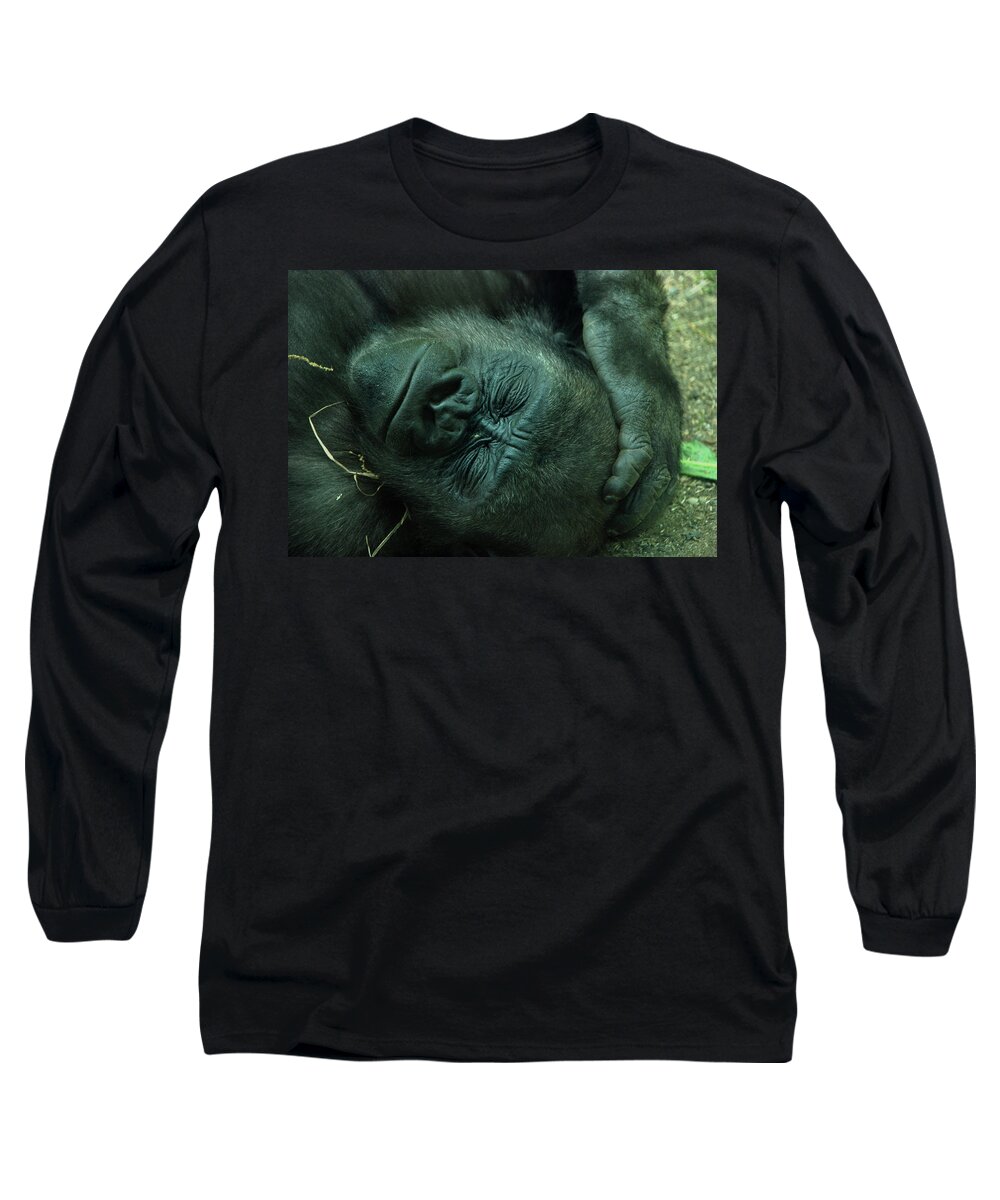 Gorilla Long Sleeve T-Shirt featuring the photograph Sleep tight by Richard Bryce and Family