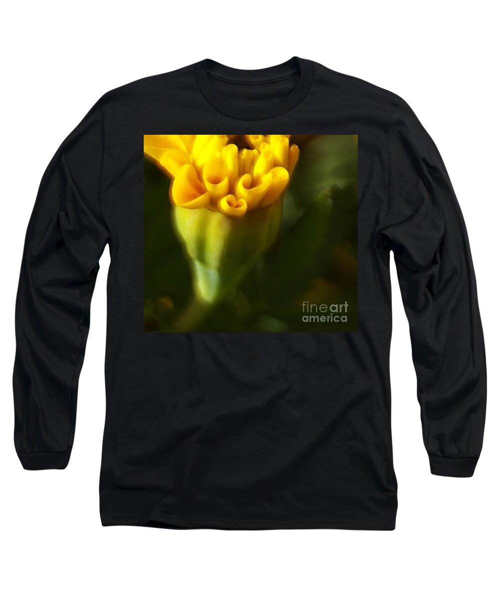 Yellow Long Sleeve T-Shirt featuring the photograph So Much More by Linda Shafer