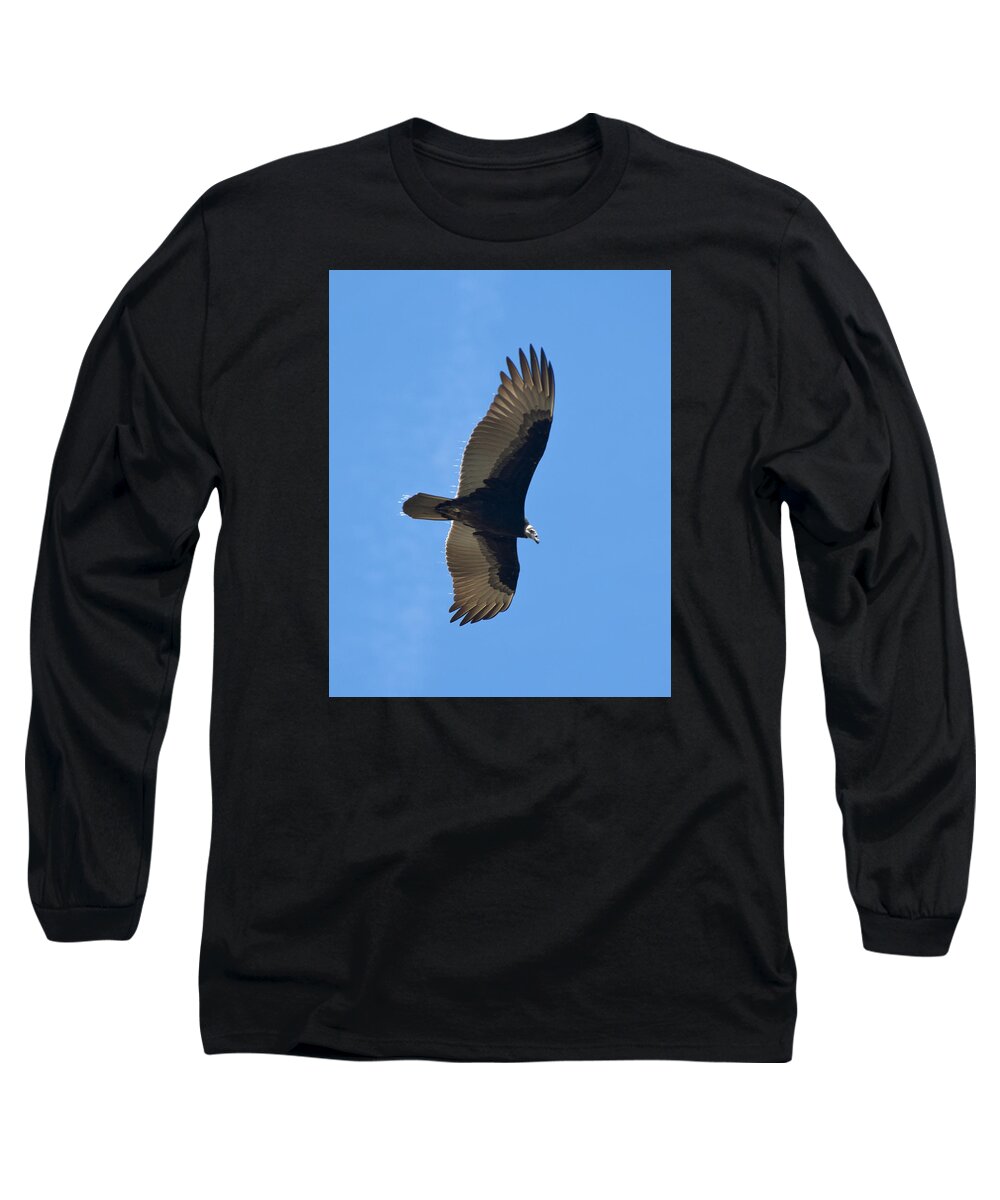 Vulture Long Sleeve T-Shirt featuring the photograph Soaring Turkey Vulture by John Harmon