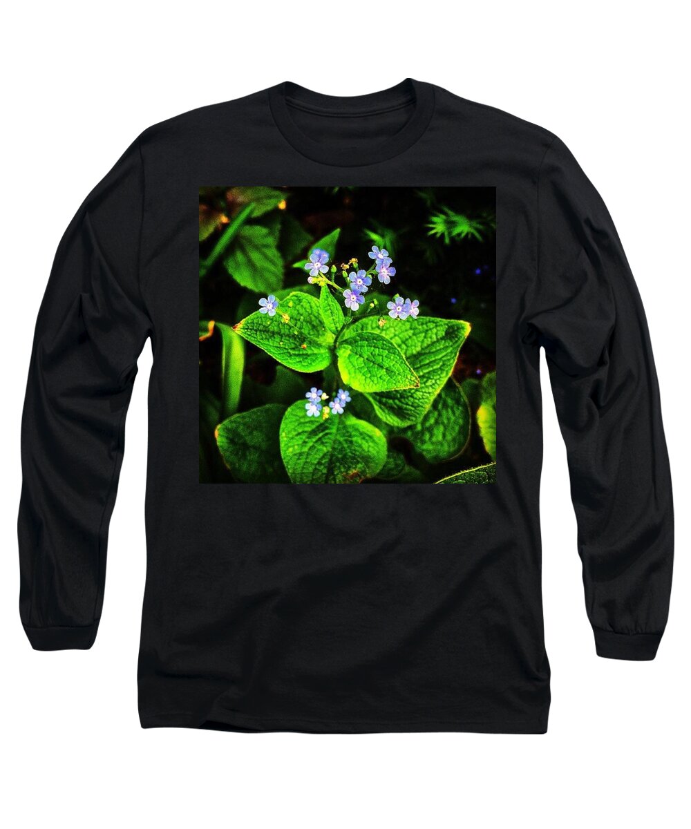 Flowers Long Sleeve T-Shirt featuring the photograph Sometimes the Most Brilliant Are So Tiny by Nick Heap