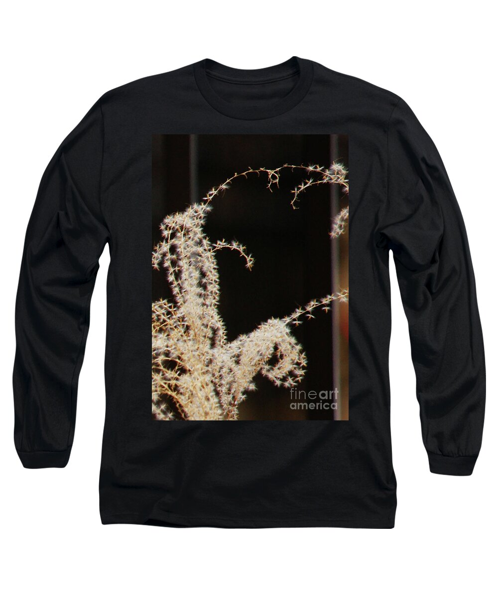 Plant Long Sleeve T-Shirt featuring the photograph Stay Close by Linda Shafer