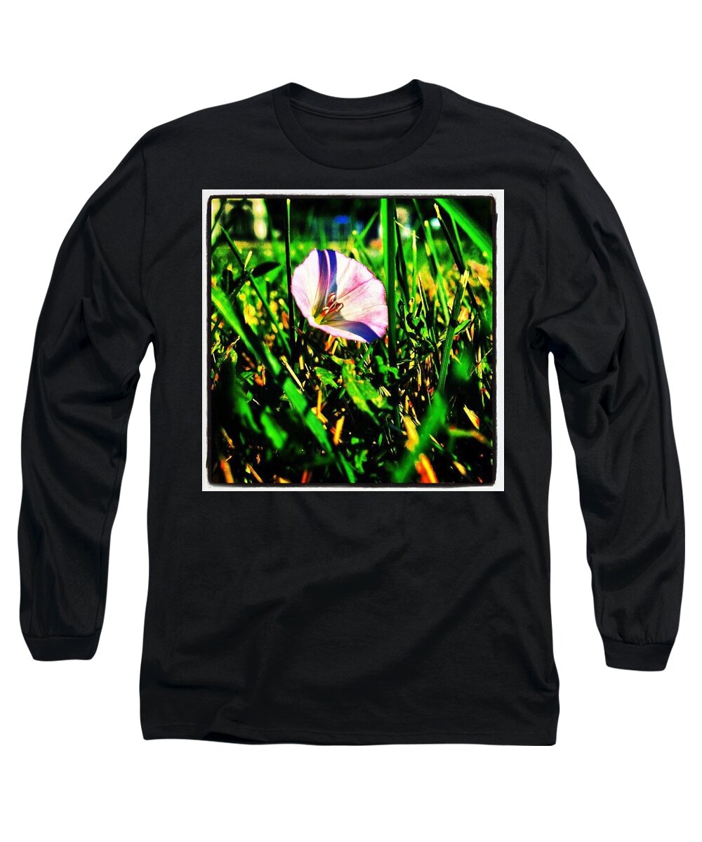 Flower Long Sleeve T-Shirt featuring the photograph Strange Is Our Situation Here Upon Earth by Nick Heap