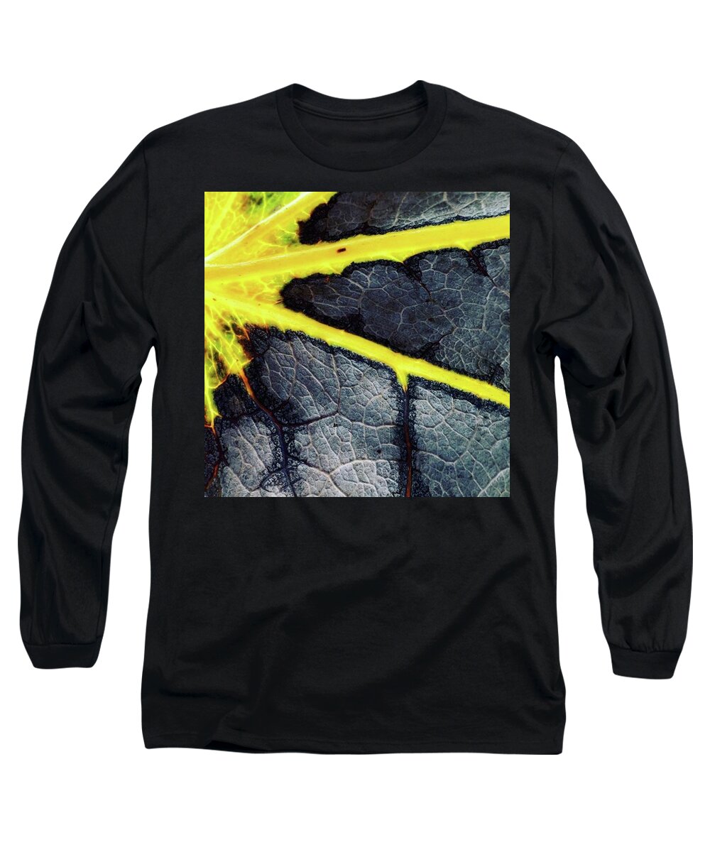 Gray Long Sleeve T-Shirt featuring the photograph Summer Drains Away. #autumn #autumnleaf by Ginger Oppenheimer