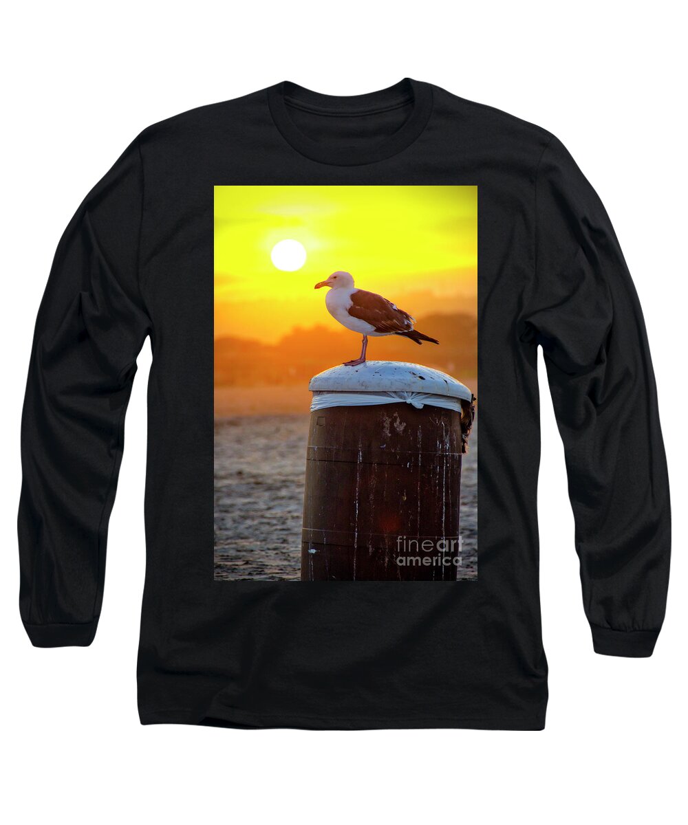 Seagull Long Sleeve T-Shirt featuring the photograph Sun Gull by Ken Johnson