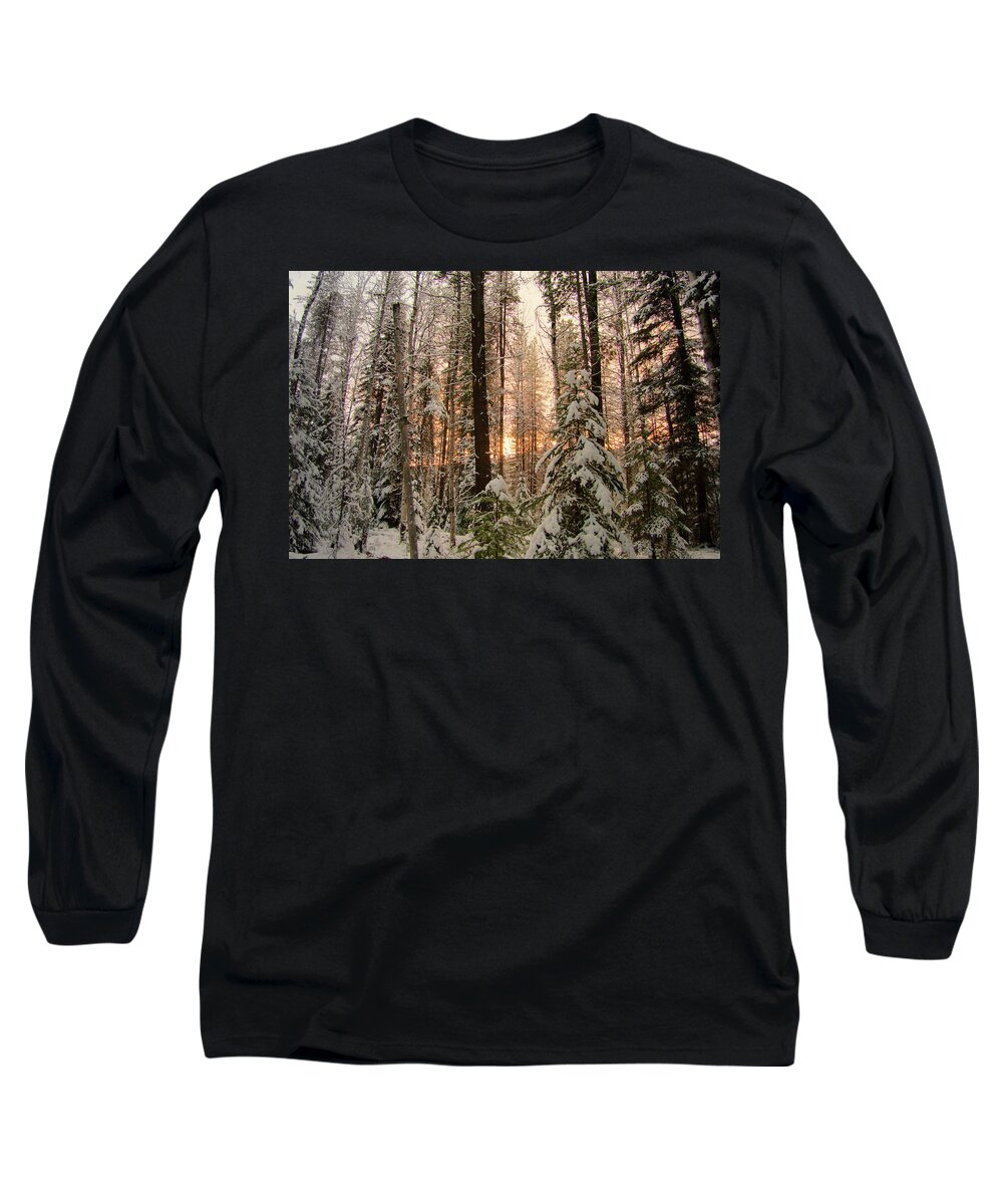 Pine Long Sleeve T-Shirt featuring the photograph Sun of Winter Trees by Troy Stapek