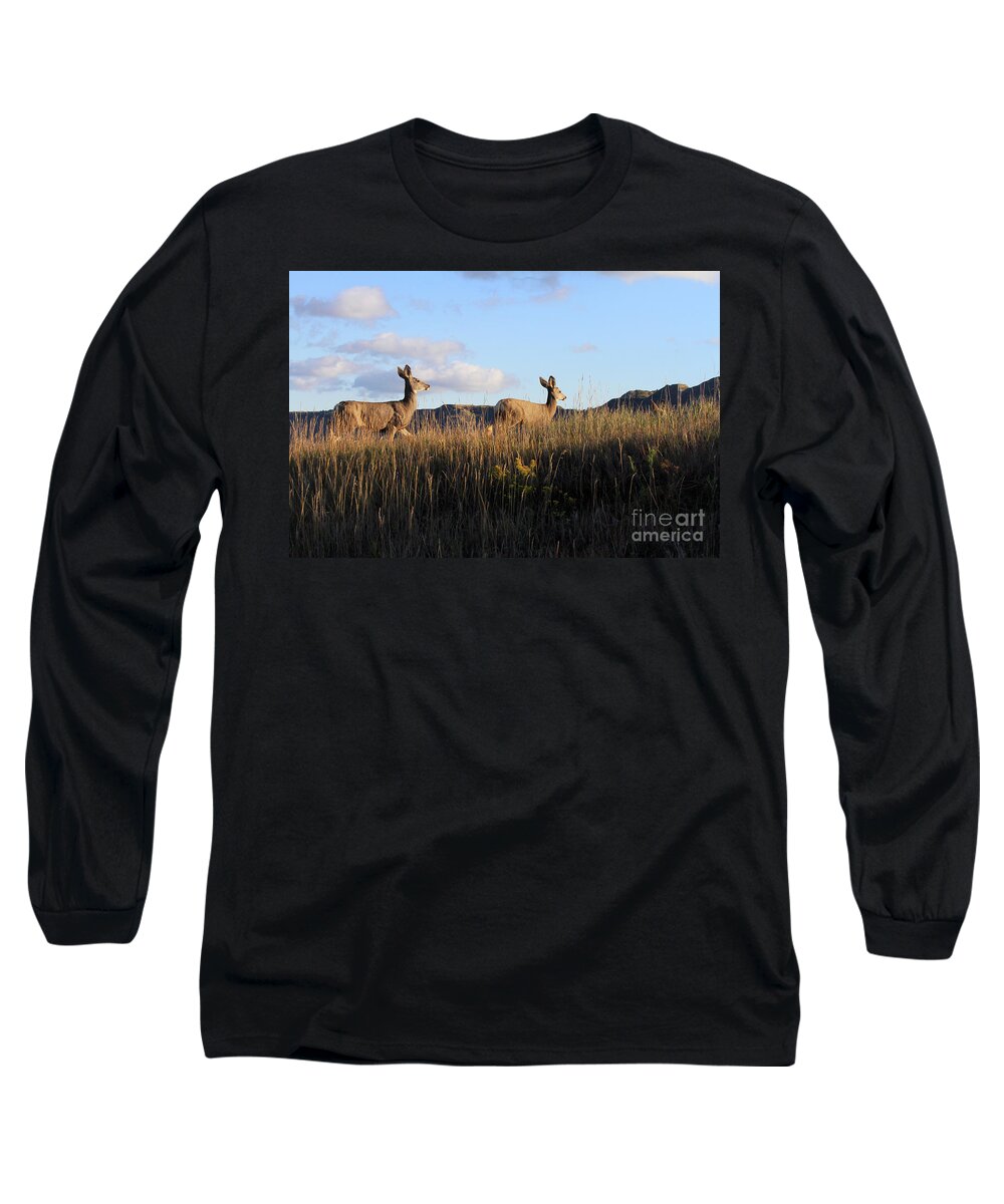 Mule Deer Long Sleeve T-Shirt featuring the photograph Sunlit Deer by Paula Guttilla