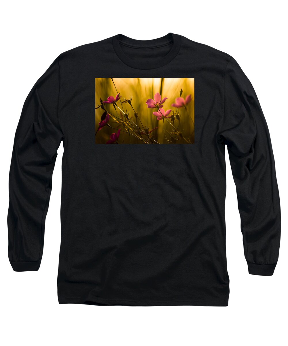 Flower Long Sleeve T-Shirt featuring the photograph Sunset Beauties by Parker Cunningham