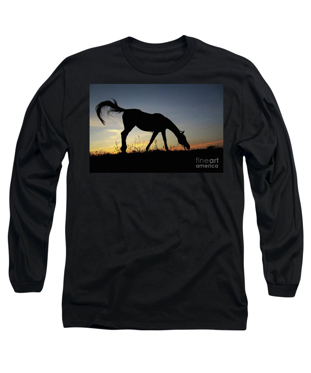 Horse Long Sleeve T-Shirt featuring the photograph Sunset Horse by Dimitar Hristov