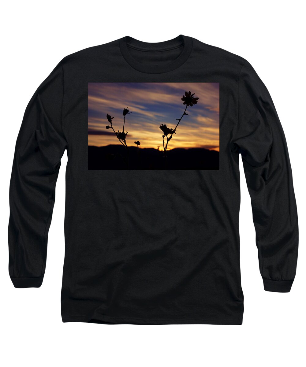 Superbloom 2016 Long Sleeve T-Shirt featuring the photograph Superbloom Sunset in Death Valley 100 by Daniel Woodrum