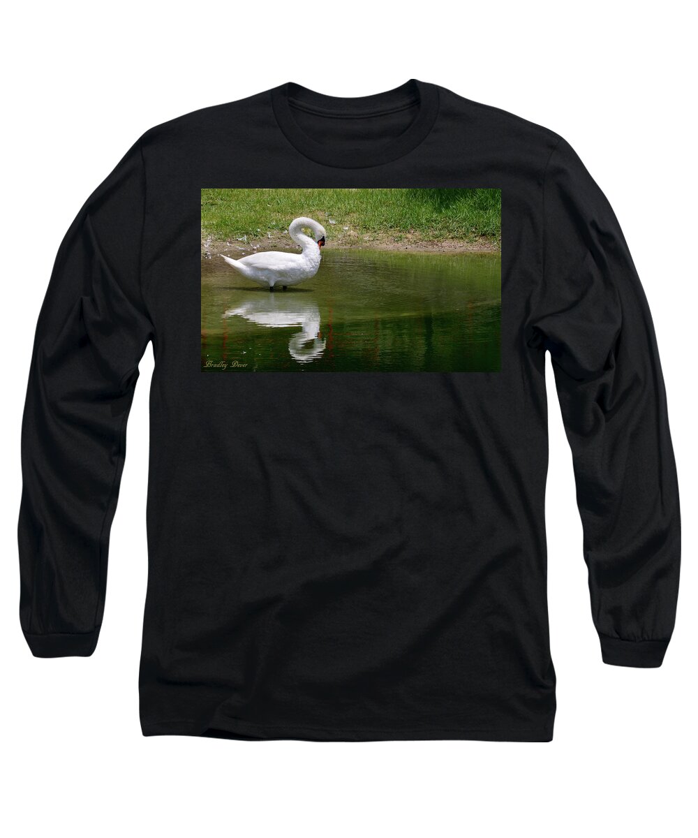 Art Long Sleeve T-Shirt featuring the photograph Swan Arch by Bradley Dever