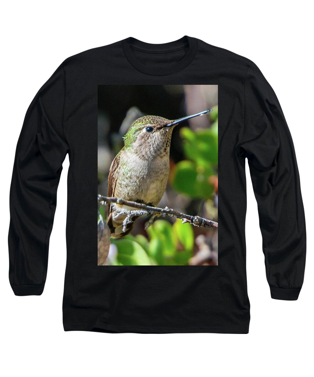 Bird Long Sleeve T-Shirt featuring the photograph Taking A Break by Paul Johnson