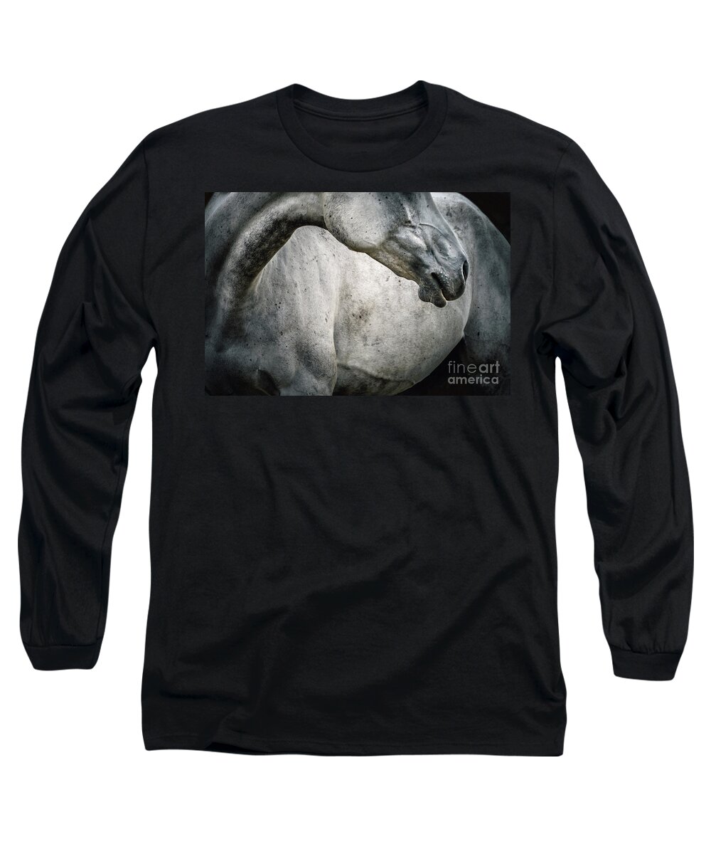 Animal Long Sleeve T-Shirt featuring the photograph Tender portrait of white horse head close up by Dimitar Hristov