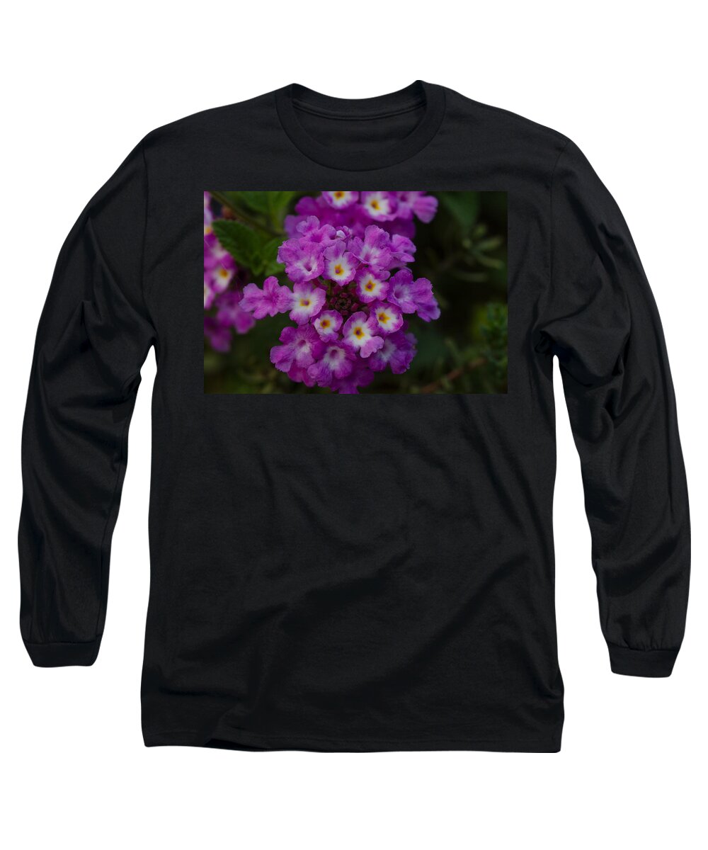 James Smullins Long Sleeve T-Shirt featuring the photograph Texas lantana by James Smullins