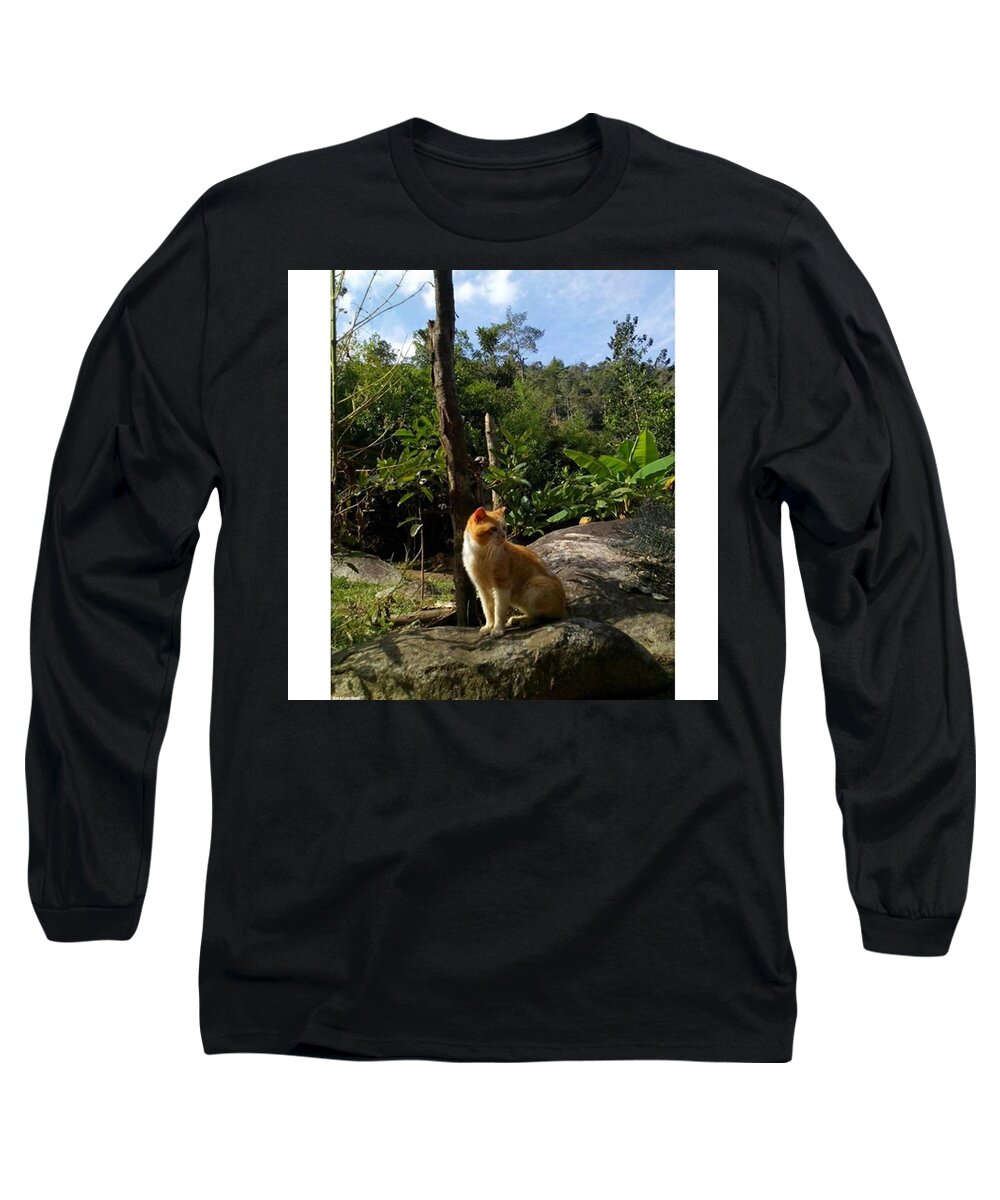 Colors Long Sleeve T-Shirt featuring the photograph The Cat And The by David Cardona