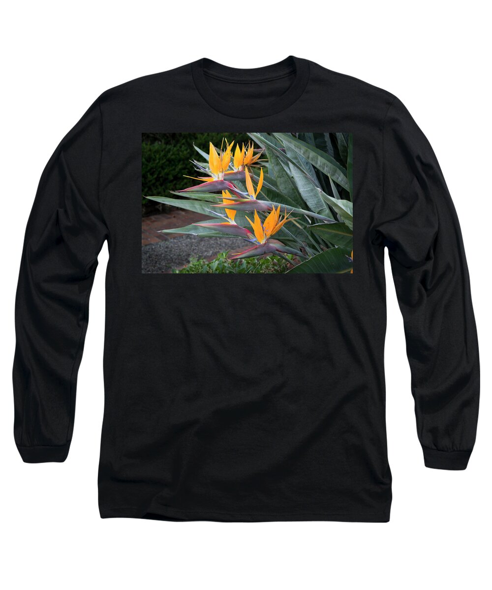 Flower Long Sleeve T-Shirt featuring the photograph The Crane Flower - Bird of Paradise by Gene Parks