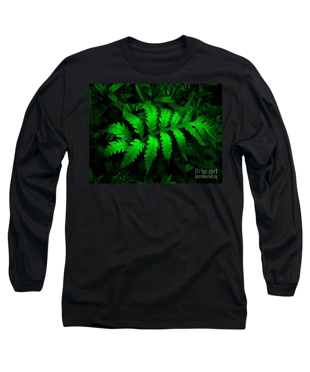 Green Long Sleeve T-Shirt featuring the photograph The Fern by Elfriede Fulda