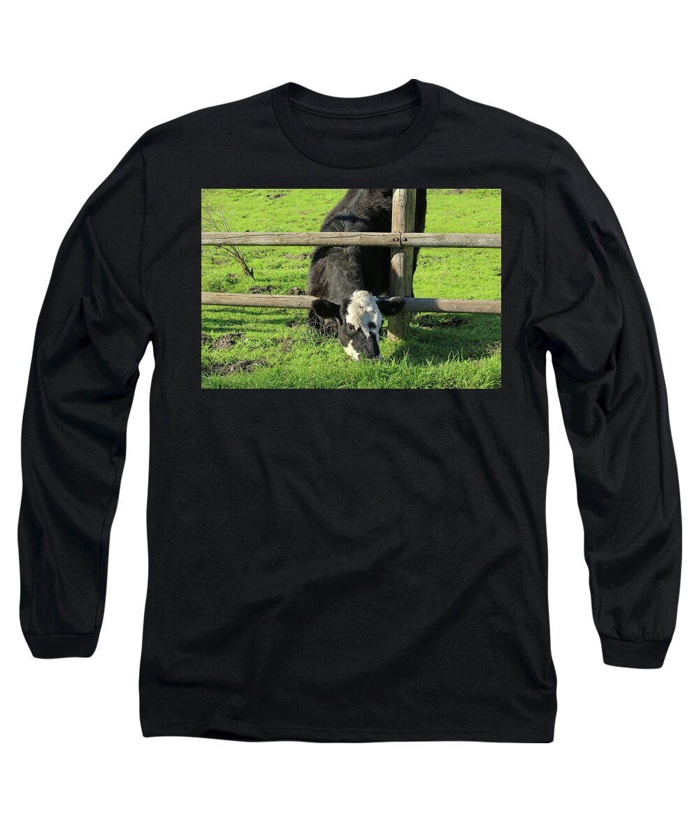 San Luis Obispo County Long Sleeve T-Shirt featuring the photograph The Grass is Always Greener by Art Block Collections