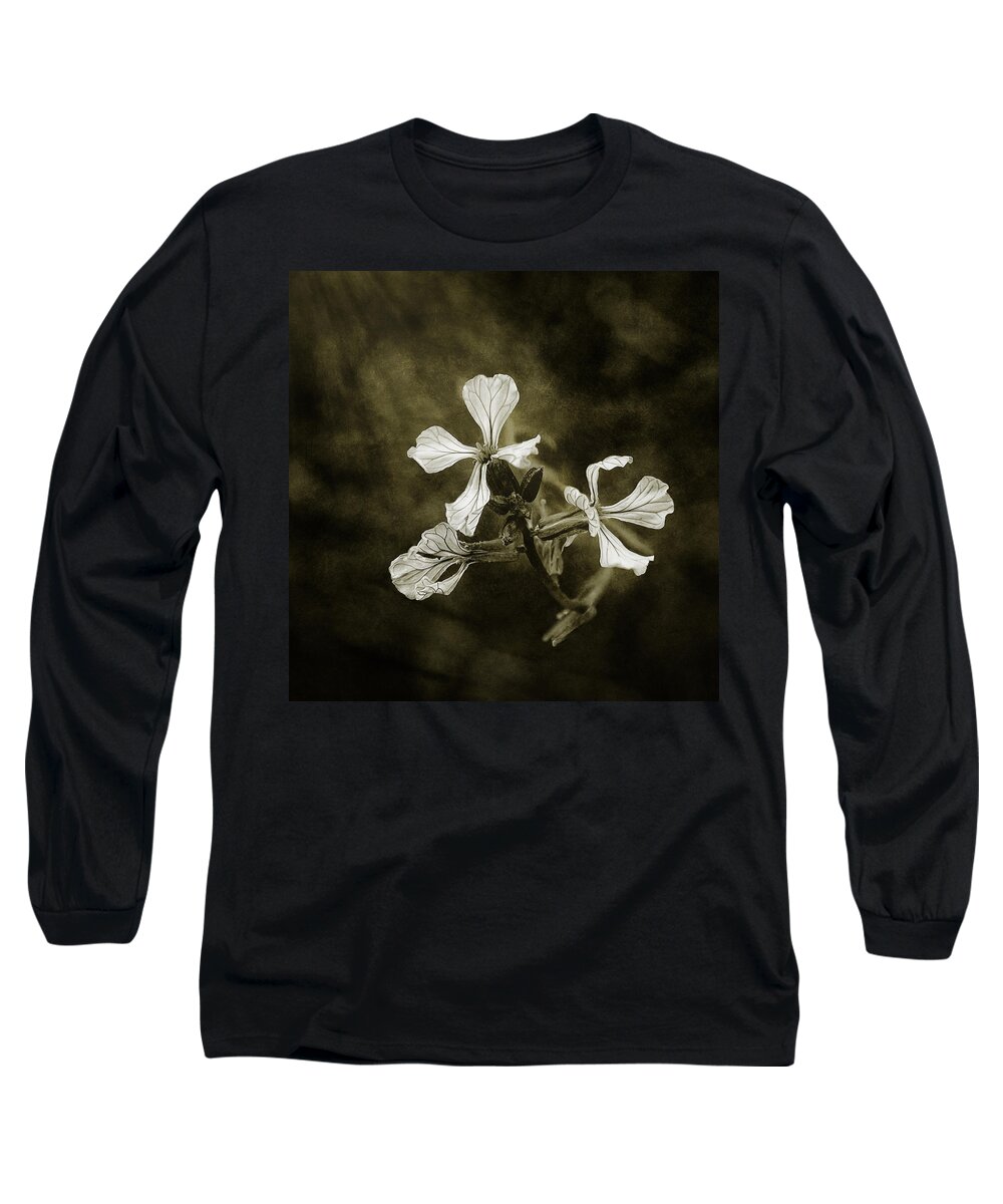 Scott Norris Photography Long Sleeve T-Shirt featuring the photograph The Last Flowers of Autumn by Scott Norris
