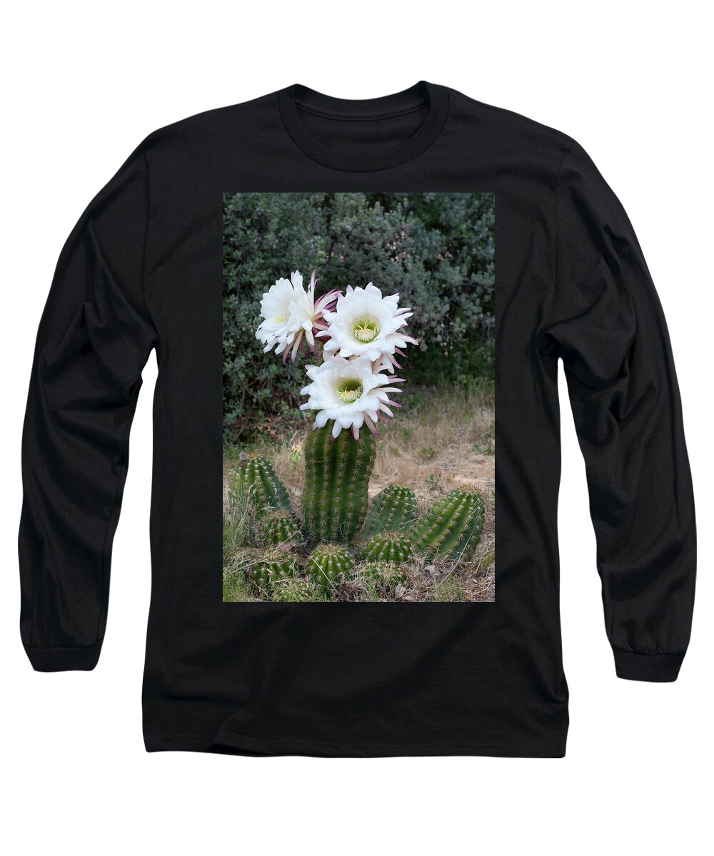 Arizona Long Sleeve T-Shirt featuring the photograph Three Blossoms by Monte Stevens