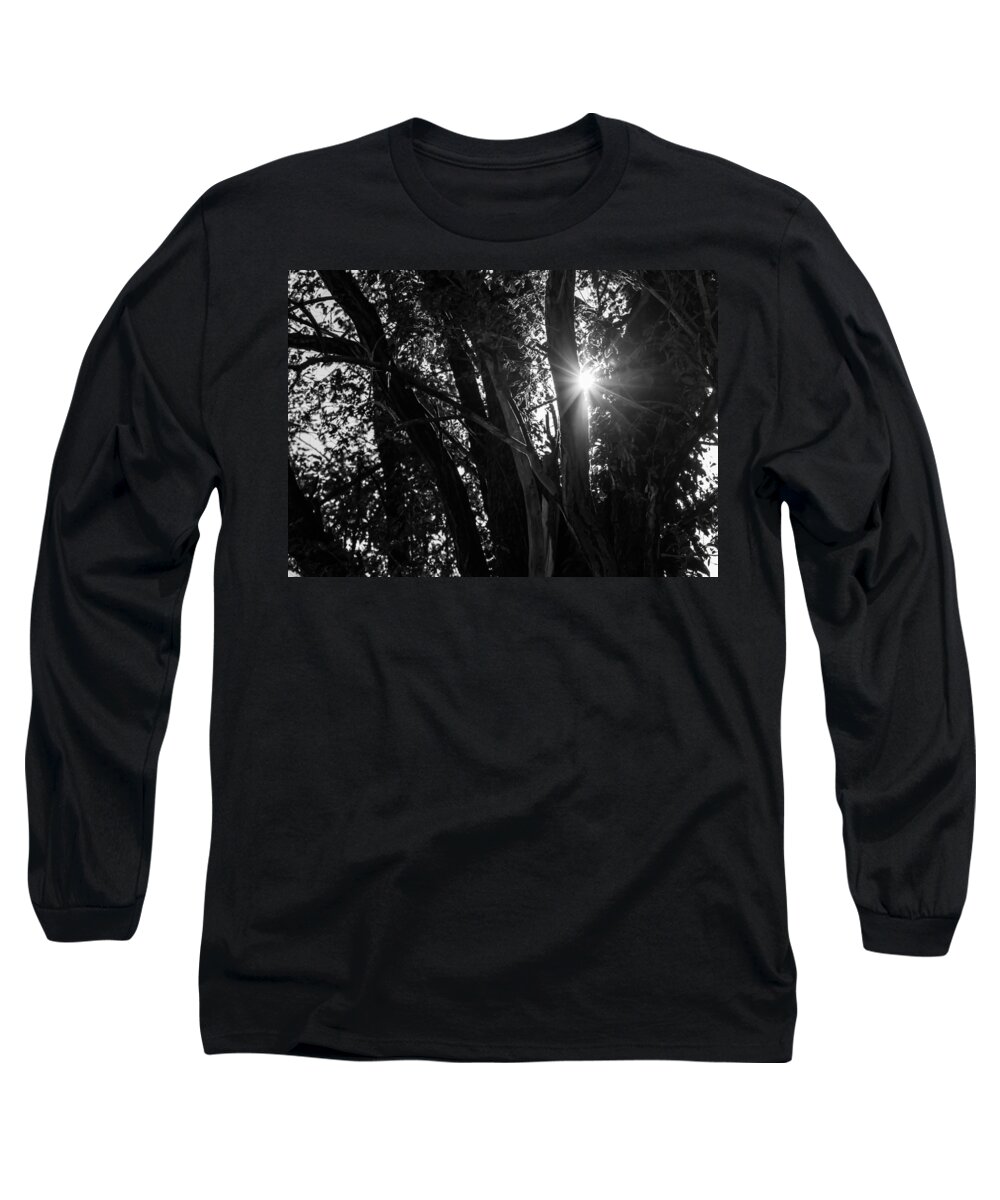 Trees Long Sleeve T-Shirt featuring the photograph Through The Trees by Holden The Moment