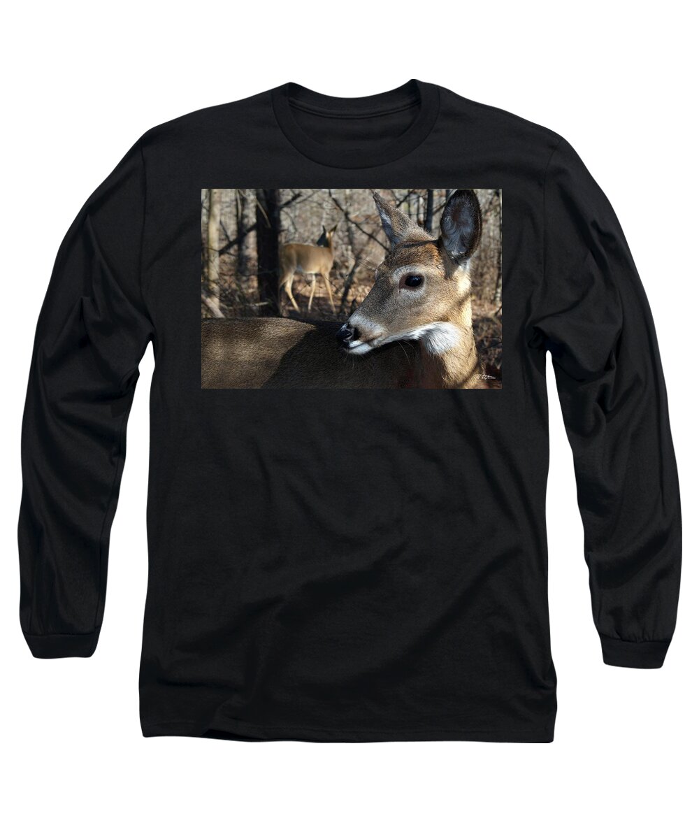 Deer Long Sleeve T-Shirt featuring the photograph Too Cool by Bill Stephens