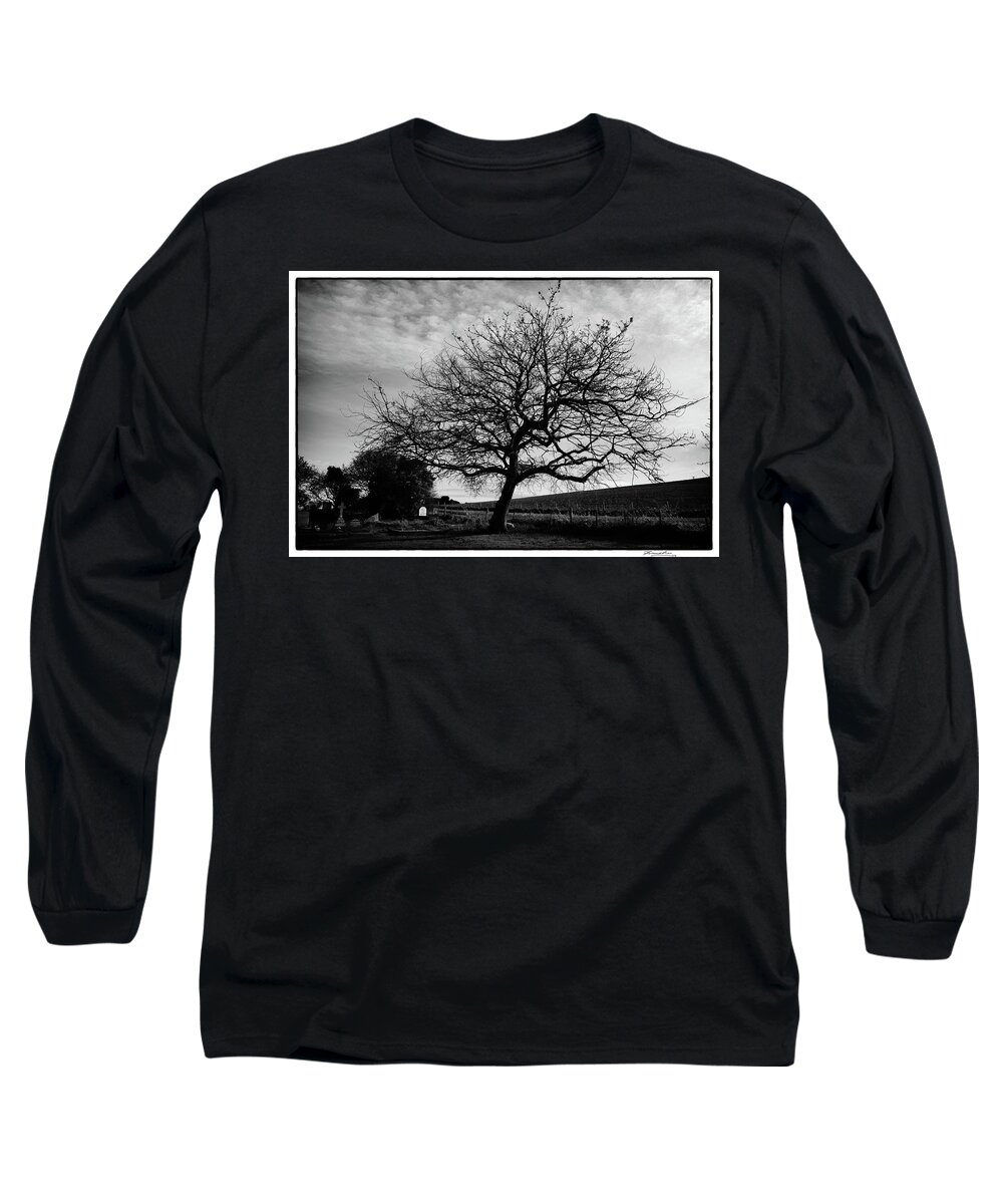 Landscape Long Sleeve T-Shirt featuring the photograph Tree in a country cemetery in winter by Frank Lee