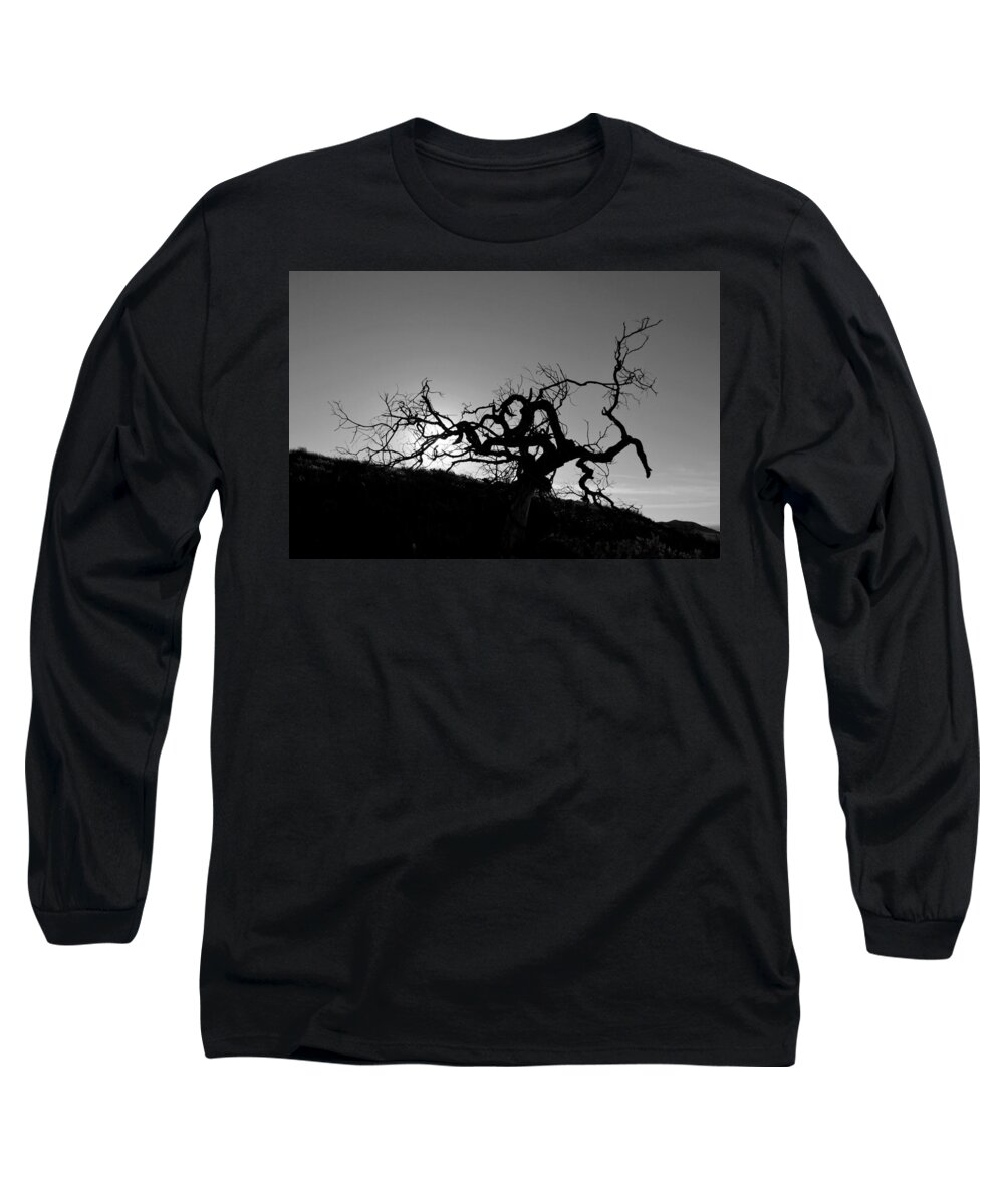 Tree Long Sleeve T-Shirt featuring the photograph Tree of Light Silhouette Hillside - Black and White by Matt Quest