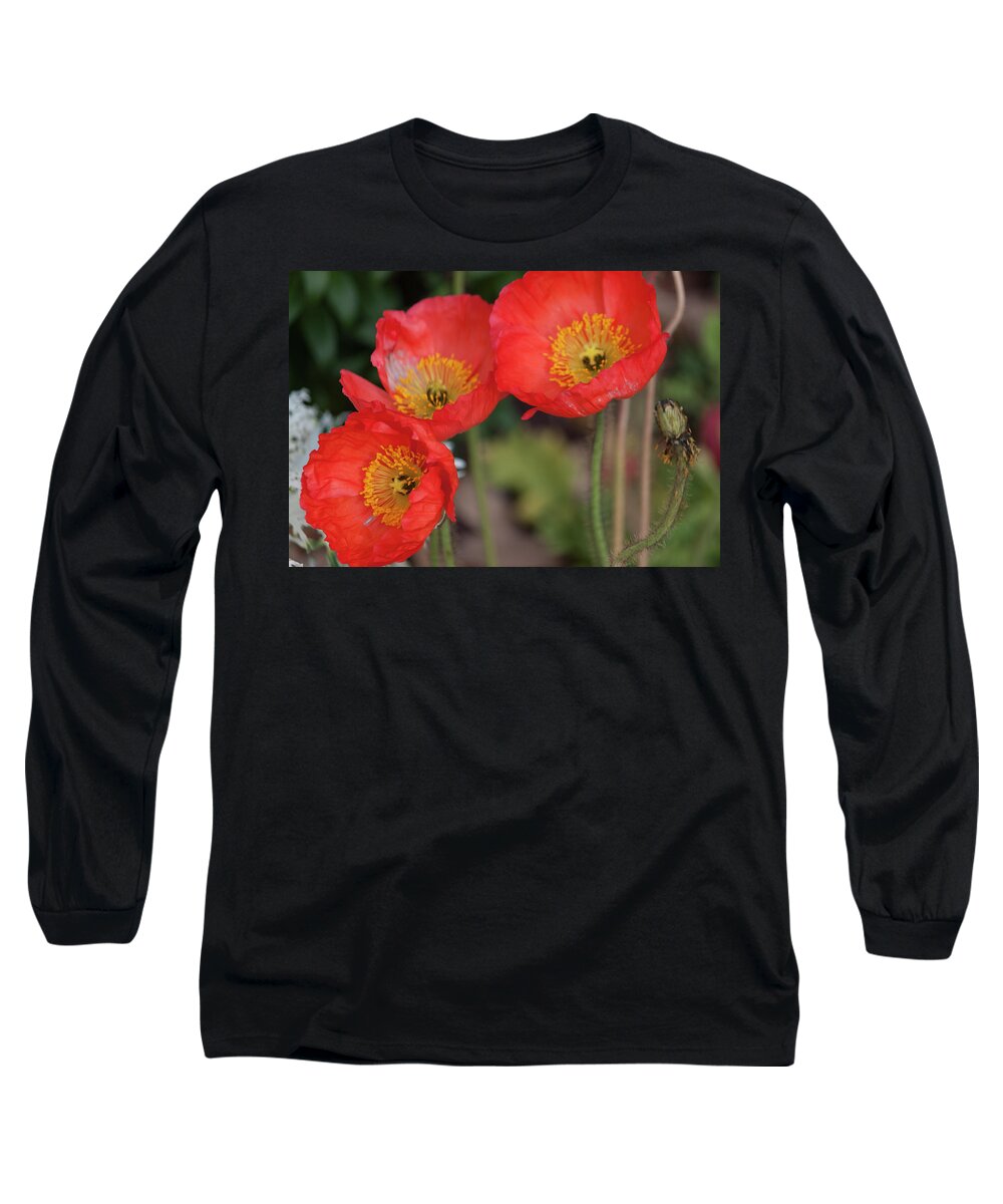 Photograph Long Sleeve T-Shirt featuring the photograph Trio of Red Poppies by Suzanne Gaff