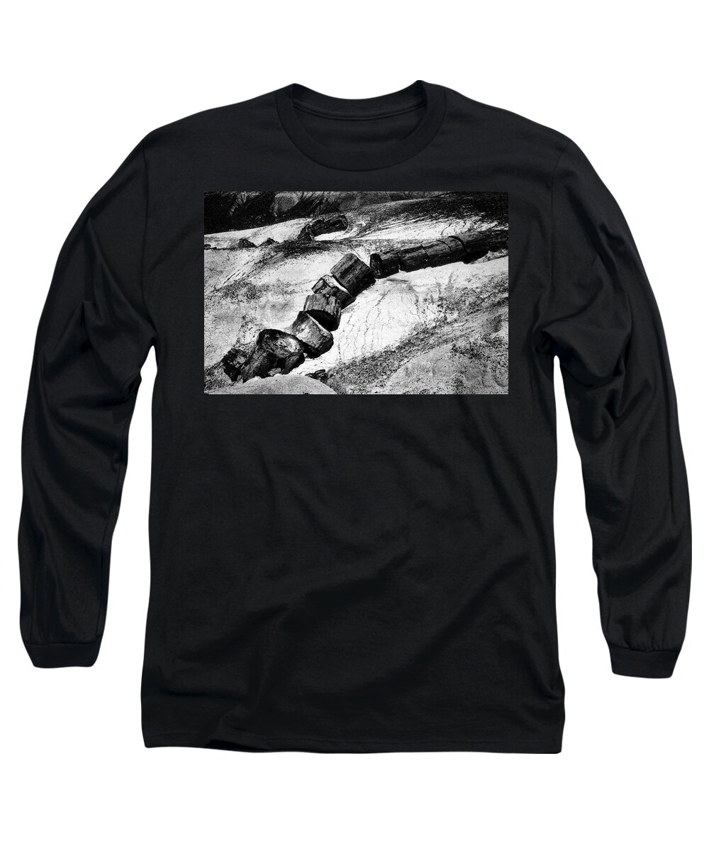 Petrified Wood Long Sleeve T-Shirt featuring the photograph Turned to Stone by Paul W Faust - Impressions of Light