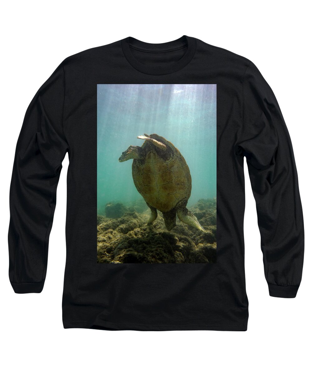 Turtle Long Sleeve T-Shirt featuring the photograph Turtle Handstand by Christopher Johnson