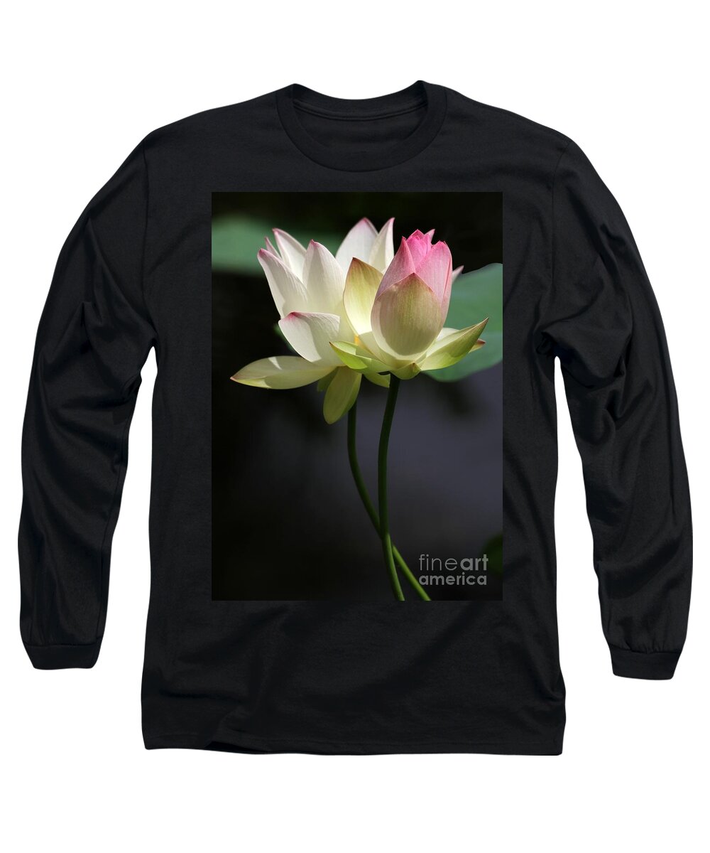 Lotus Long Sleeve T-Shirt featuring the photograph Two Lotus Flowers by Sabrina L Ryan