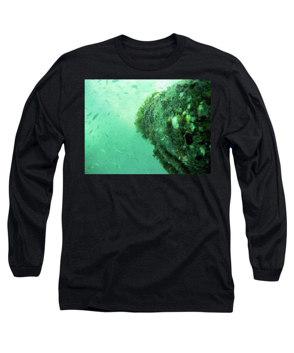 Underwater Long Sleeve T-Shirt featuring the photograph Under the sea by Bradley Dever