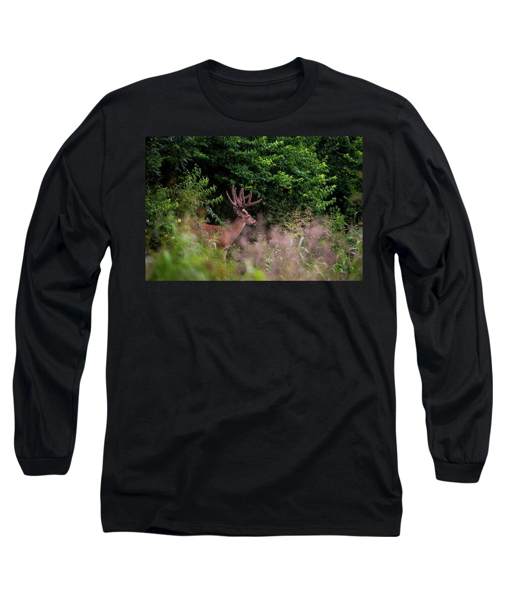 Whitetail Long Sleeve T-Shirt featuring the photograph Velvet Crown by Jeff Phillippi