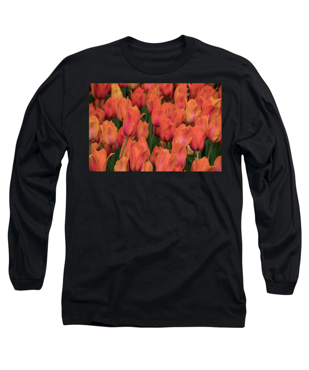 Beautiful Long Sleeve T-Shirt featuring the photograph Vibrant Whispers by Teresa Wilson