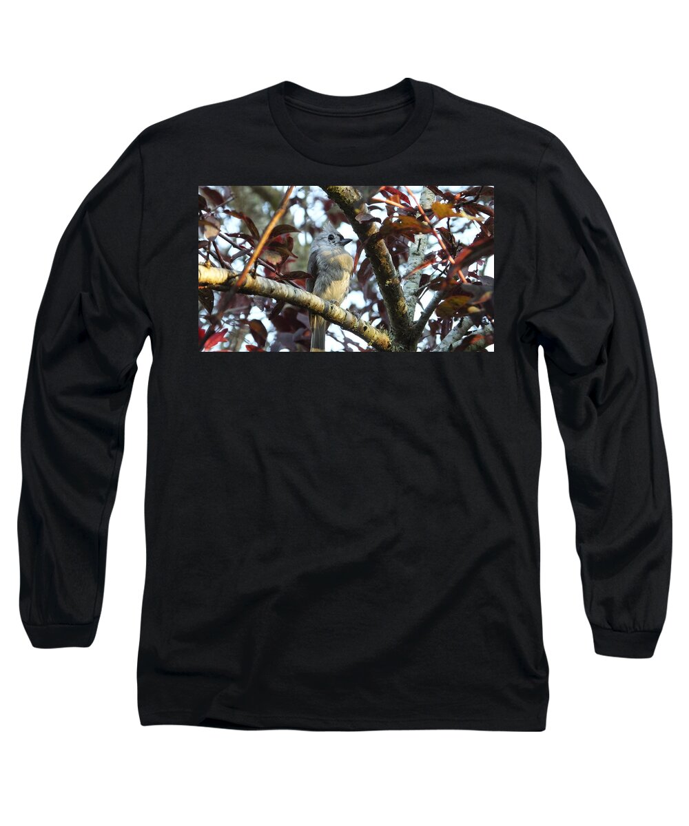 Titmouse Long Sleeve T-Shirt featuring the photograph Waiting for Mom by Judy Wanamaker
