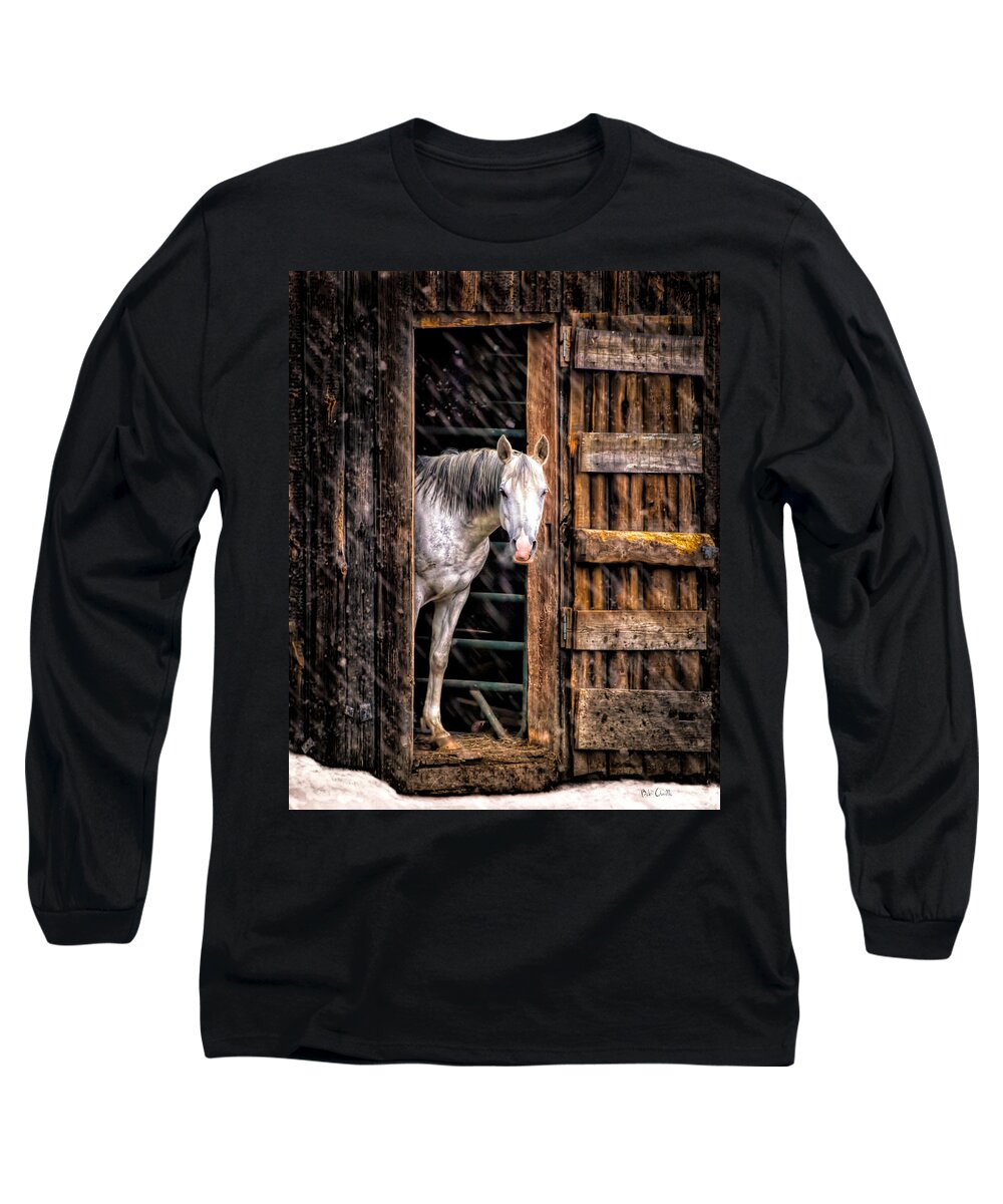 Horse Long Sleeve T-Shirt featuring the photograph Watching the snow fall by Bob Orsillo