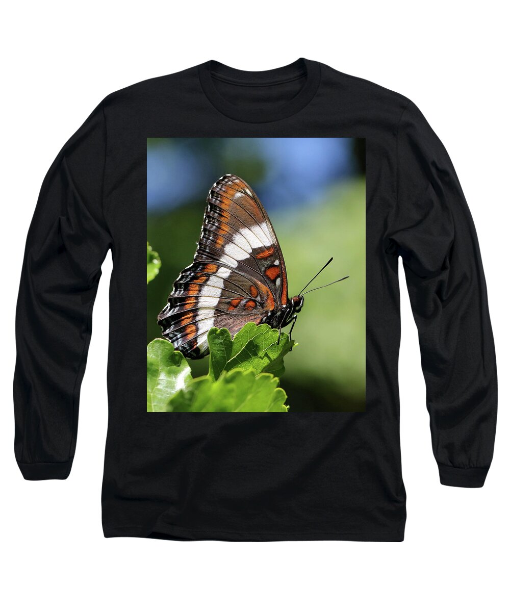 White Admiral Long Sleeve T-Shirt featuring the photograph White Admiral in the Sunlight by Doris Potter