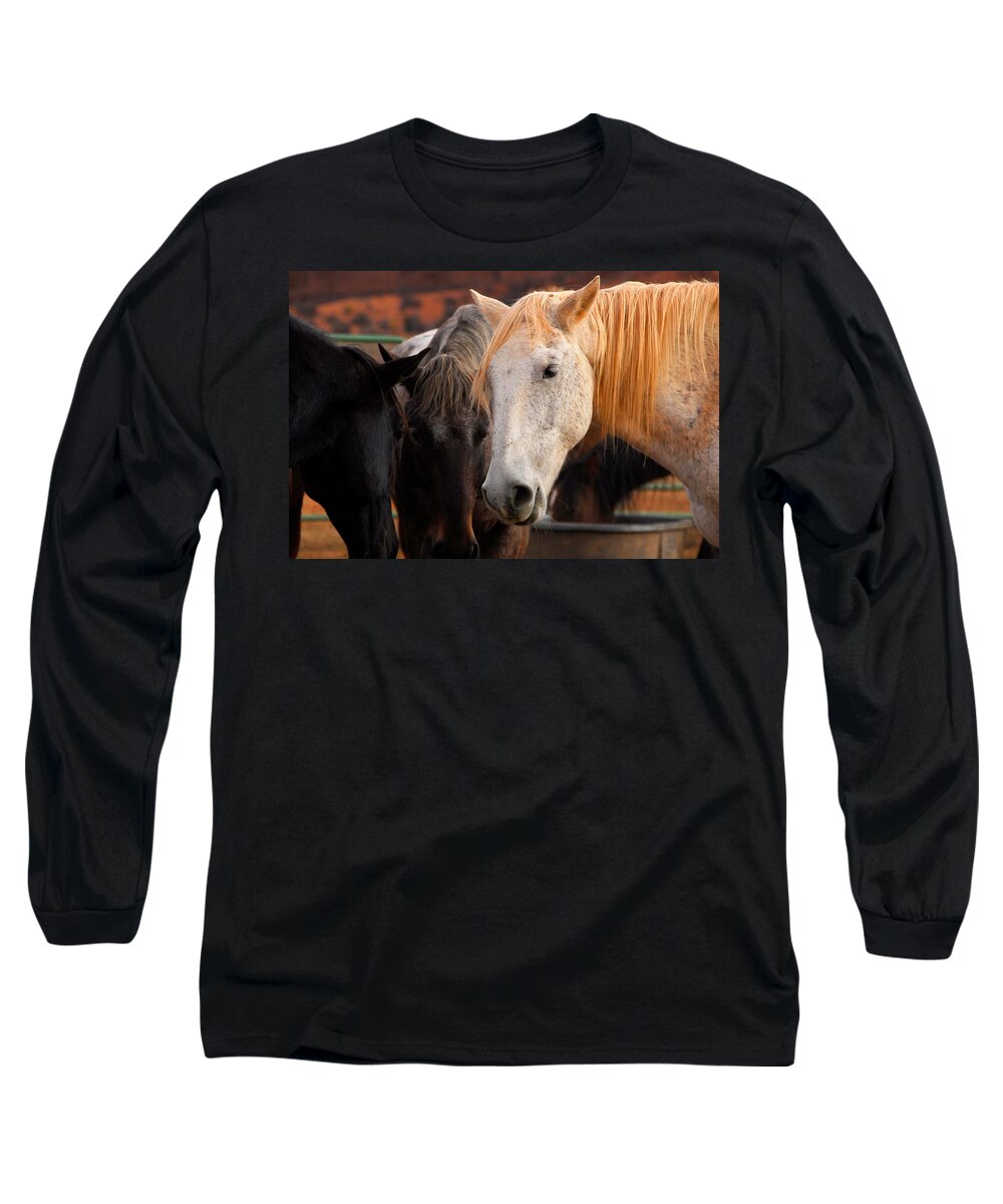 White Horse Long Sleeve T-Shirt featuring the photograph White Horse by Harry Spitz