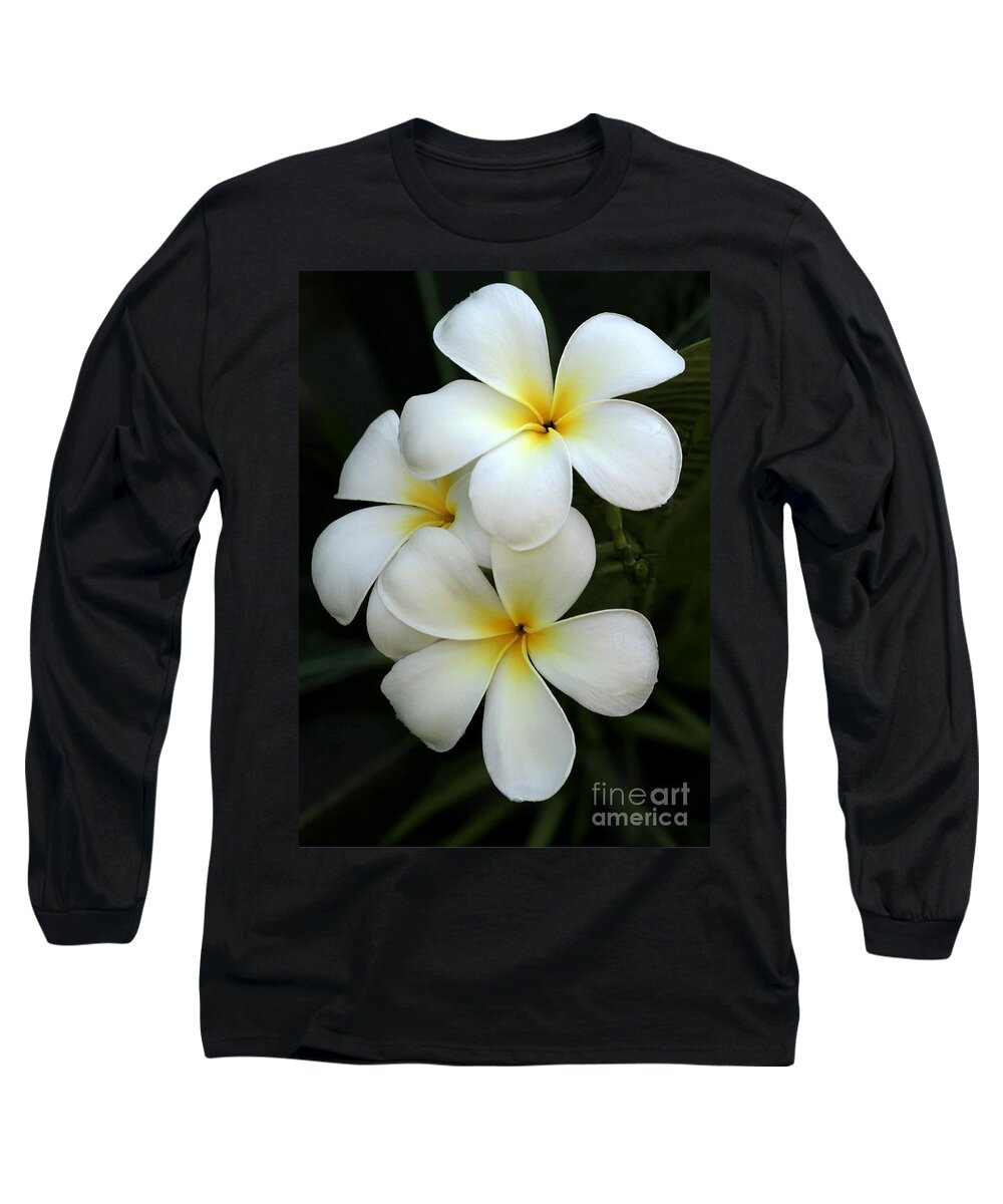 Plumeria Long Sleeve T-Shirt featuring the photograph White Plumeria by Sabrina L Ryan