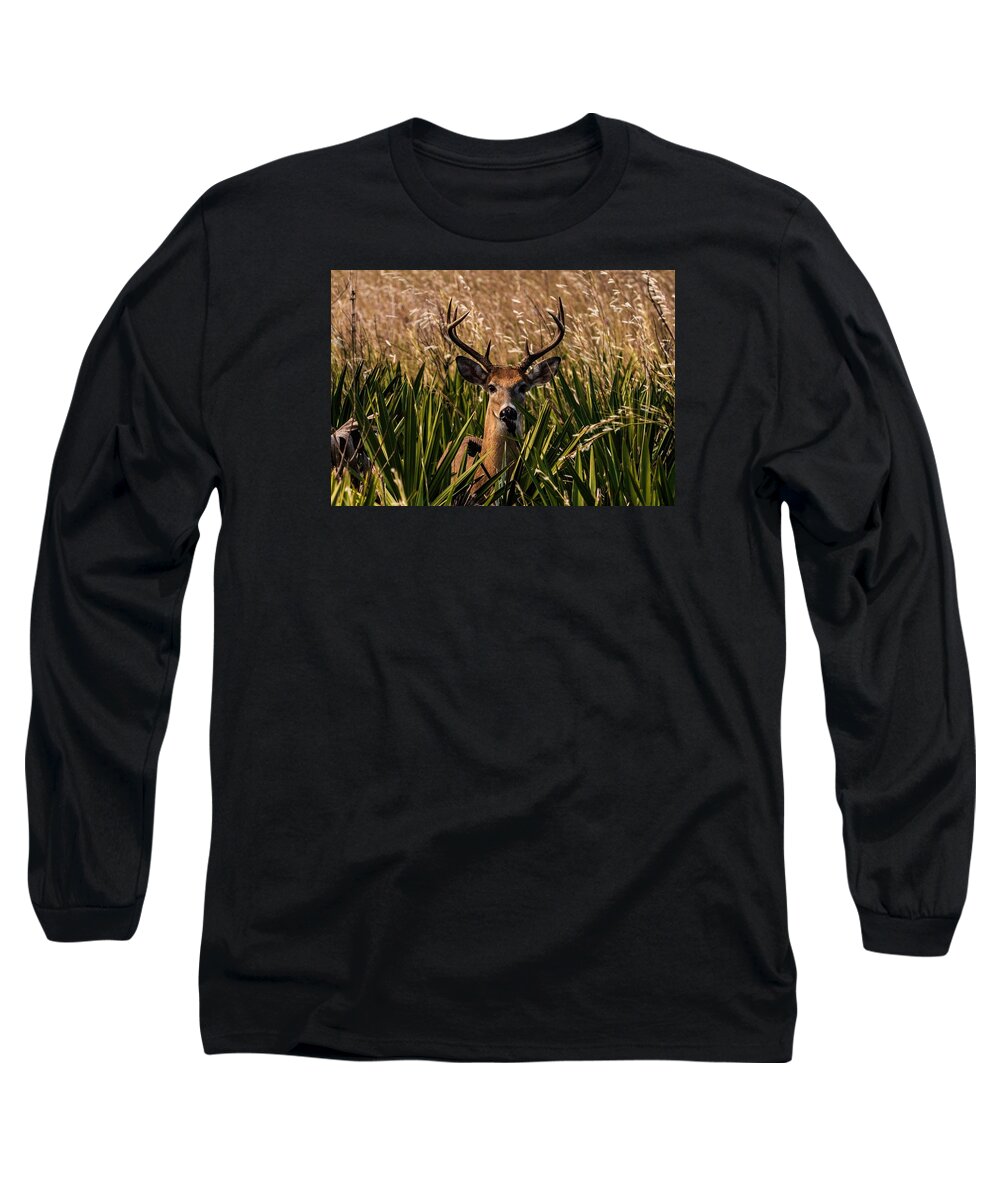 Whitetail Long Sleeve T-Shirt featuring the photograph White Tail by Christopher Perez