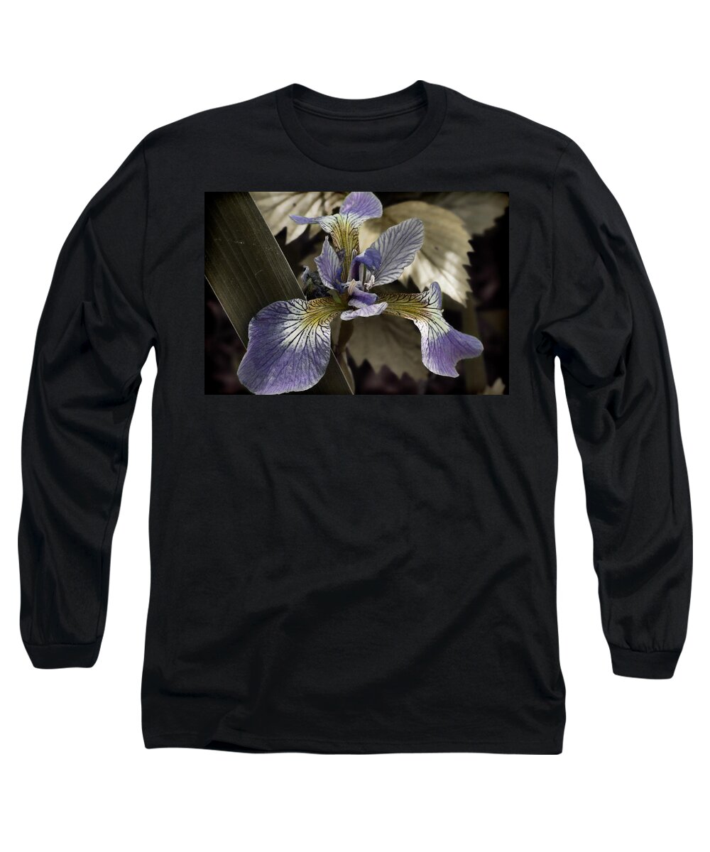Flowers & Plants Long Sleeve T-Shirt featuring the photograph Wild blue iris by Jeff Folger