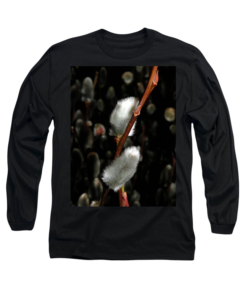 Pussy Willow Long Sleeve T-Shirt featuring the photograph Willow by Trish Tritz